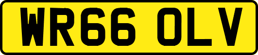 WR66OLV