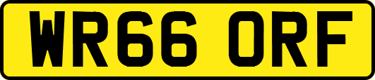 WR66ORF