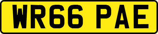 WR66PAE