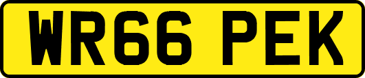 WR66PEK