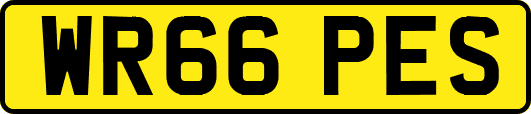 WR66PES