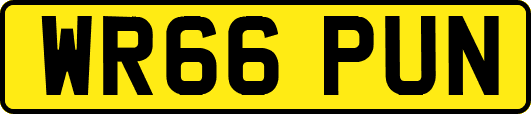 WR66PUN