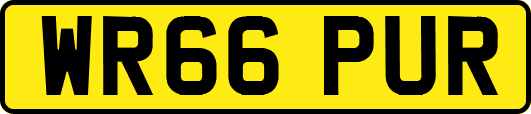 WR66PUR