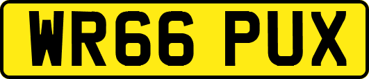 WR66PUX