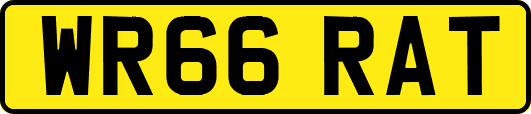 WR66RAT
