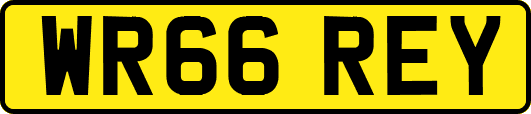 WR66REY