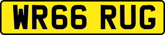 WR66RUG