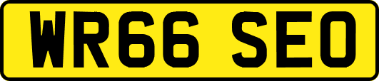 WR66SEO