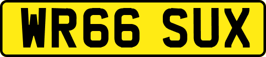 WR66SUX