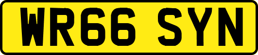 WR66SYN