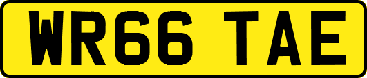 WR66TAE