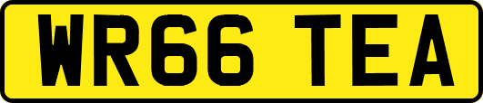 WR66TEA
