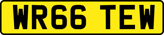 WR66TEW