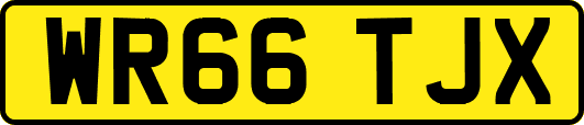 WR66TJX