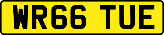 WR66TUE