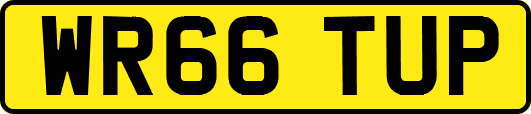 WR66TUP