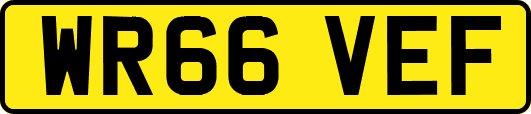 WR66VEF