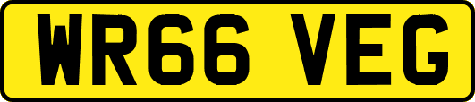 WR66VEG