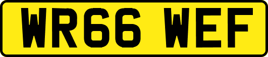 WR66WEF