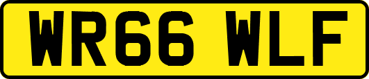 WR66WLF