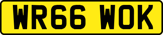 WR66WOK