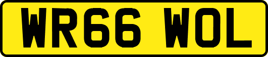 WR66WOL