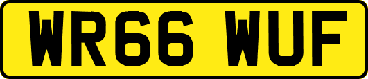 WR66WUF