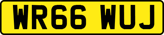 WR66WUJ