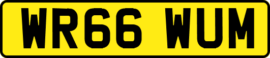 WR66WUM