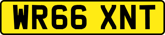 WR66XNT