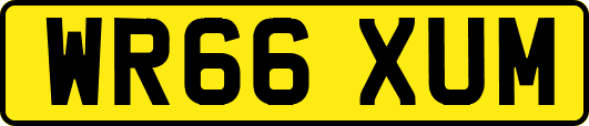 WR66XUM