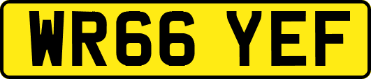 WR66YEF