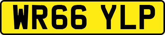 WR66YLP