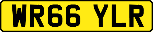 WR66YLR
