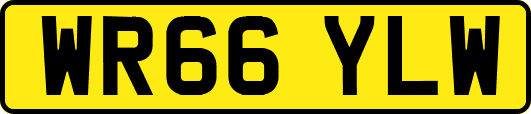 WR66YLW