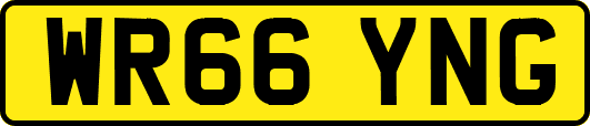 WR66YNG