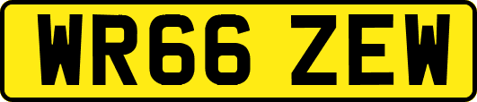 WR66ZEW