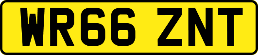 WR66ZNT