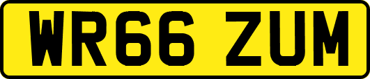 WR66ZUM