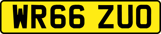 WR66ZUO