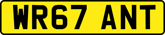 WR67ANT