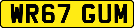 WR67GUM