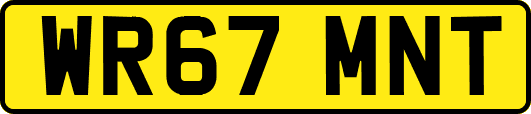 WR67MNT
