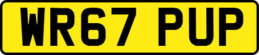 WR67PUP
