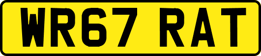 WR67RAT