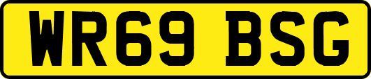 WR69BSG