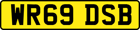 WR69DSB