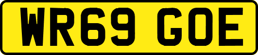 WR69GOE