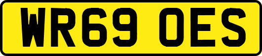 WR69OES
