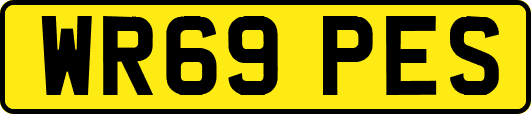 WR69PES